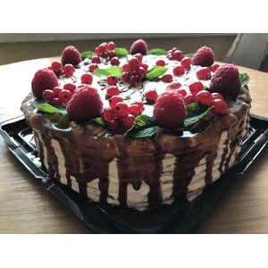 ���� "�������� ������������"