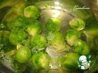 ����� � ������������ �������� � ��������� ����� �����������