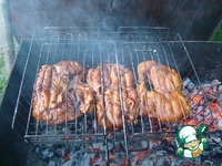 ������ �� ������� "�������� ��������" �����������