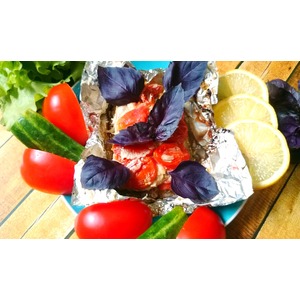 �����������-����� � ����� � ���������