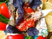 �����������-����� � ����� � ��������� �����������