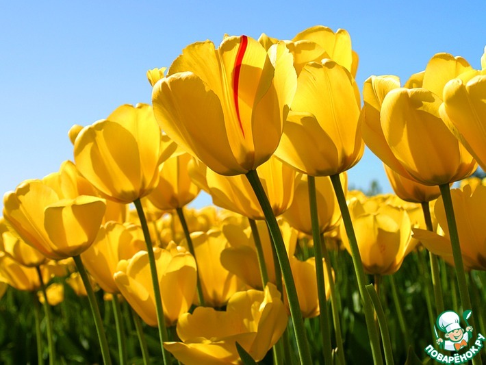 ��������� �58 "�� �������� ���������� ������"