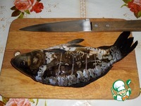 ����-����� �����������