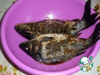 ����-����� �����������