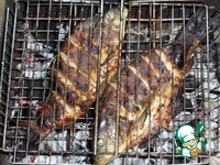 ����-����� �����������