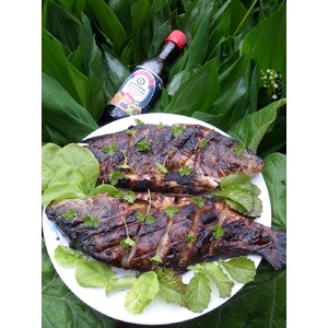 ����-�����