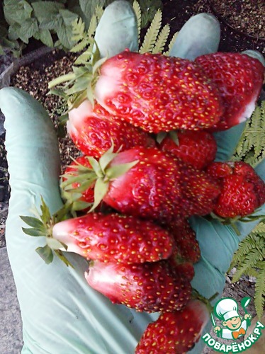 ������ ������