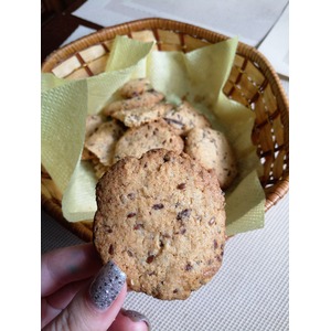 ������������ ��������� �������