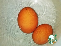 ���������� � ������������� � ��������� �����������