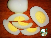 ���������� � ������������� � ��������� �����������