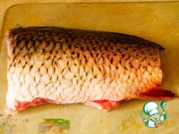 ���� ������������ �����������