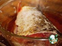 ���� ������������ �����������