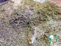 ���� ������������ �����������