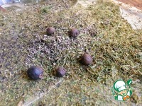 ���� ������������ �����������