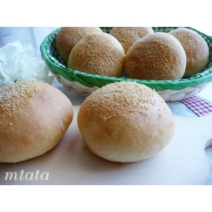 ������������ ���� "��������"