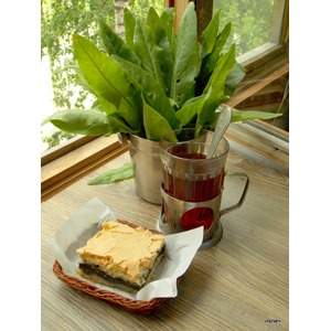 �������� � �������