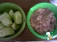 �����, ������������� ���������� � ������ ������ �����������