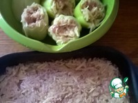 �����, ������������� ���������� � ������ ������ �����������