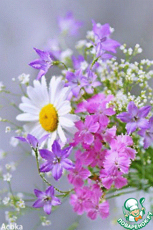 ����������� � ���� �������� ����� ( irina_vip)