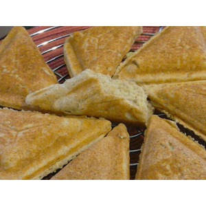 ������������ ���� � �����������