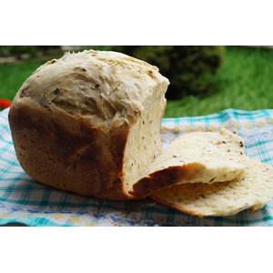 ���� "����������"