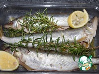 ������������ ���� � ���� �����������