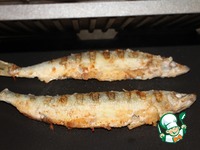 ������������ ���� � ���� �����������