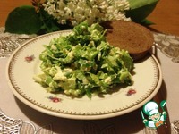 ����� "����������" �����������