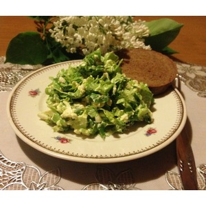 ����� "����������"