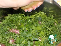 ������ ���� "��� � �����" �����������