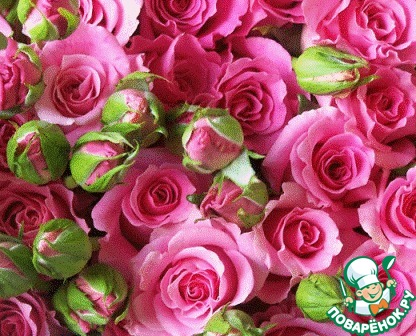 � ���� ��������, ������� (hyazinthetmprename)!