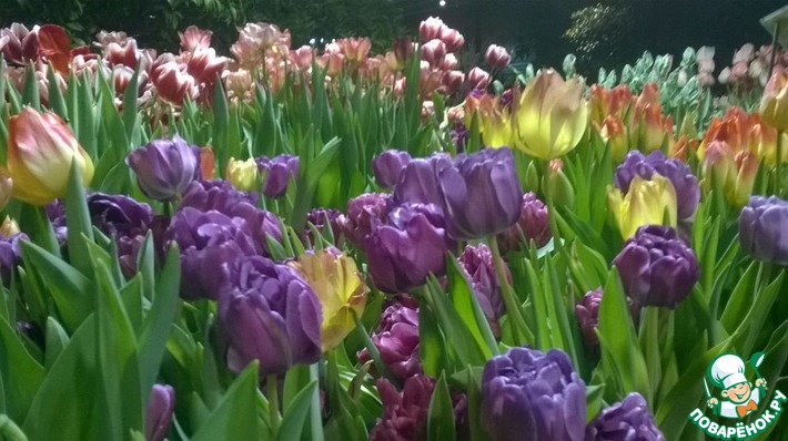 ���� ������ �����? ����� ��� ����!!!