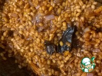 ������� �� ����� ����� ������ �� "����������" �����������