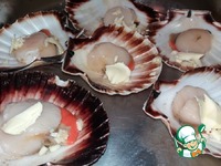 �������� � ��������-��������� ����� �����������