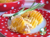 ��������� � ��������-�������� ������� �����������