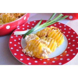 ��������� � ��������-�������� �������