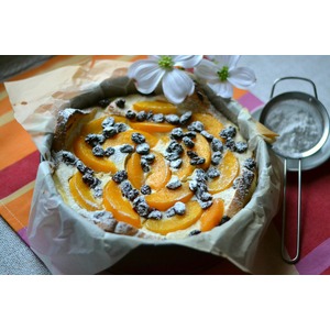 ������� ��������� � ��������