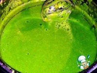 ������ ���-���� � ������������ �����������