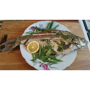 ��� � ��������� �����