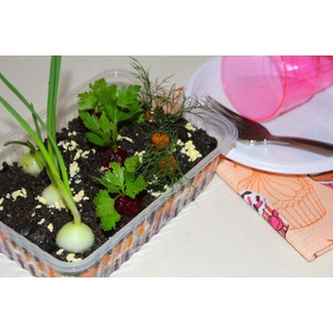 ����� "�������"