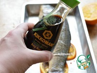 ����, ���������� � ����������� � ���������� �����������