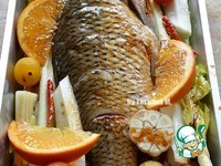 ����, ���������� � ����������� � ���������� �����������