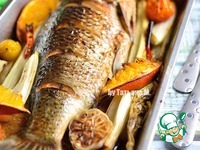 ����, ���������� � ����������� � ���������� �����������