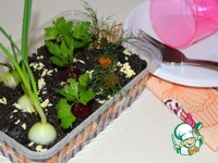 ����� "�������" �����������