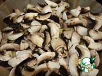 ������ � ������� ��-�������� �����������