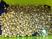 ����� � ����������� ������� ��� �����������