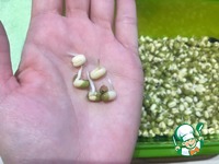 ����� � ����������� ������� ��� �����������