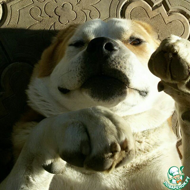 �� ����������!