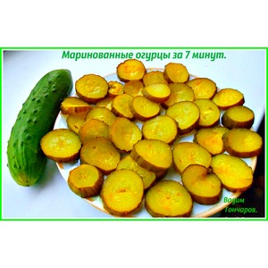 ������������ ������ �� 7 �����