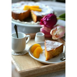 ���������-�������� � ��������